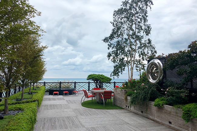 Garden Masters: An Urban Oasis in the Sky—Rooftop Gardening at its Finest